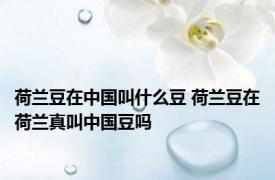 荷兰豆在中国叫什么豆 荷兰豆在荷兰真叫中国豆吗