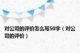 对公司的评价怎么写50字（对公司的评价）