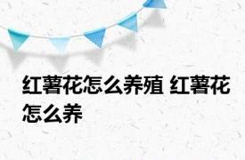 红薯花怎么养殖 红薯花怎么养