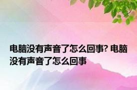 电脑没有声音了怎么回事? 电脑没有声音了怎么回事 
