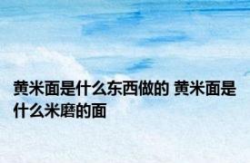 黄米面是什么东西做的 黄米面是什么米磨的面