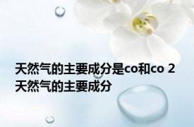 天然气的主要成分是co和co 2 天然气的主要成分