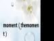 moment（themoment）