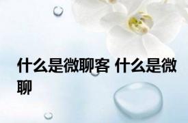 什么是微聊客 什么是微聊
