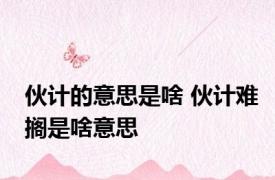 伙计的意思是啥 伙计难搁是啥意思