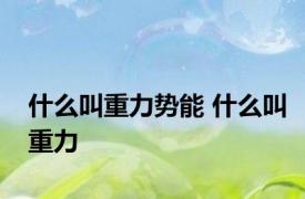 什么叫重力势能 什么叫重力