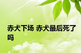 赤犬下场 赤犬最后死了吗