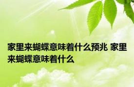家里来蝴蝶意味着什么预兆 家里来蝴蝶意味着什么