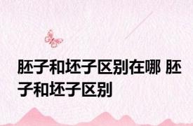胚子和坯子区别在哪 胚子和坯子区别