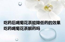 吃药后喝菊花茶能降低药的效果 吃药喝菊花茶解药吗