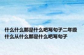 什么什么那是什么吧写句子二年级 什么从什么那是什么吧写句子