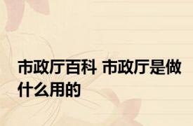 市政厅百科 市政厅是做什么用的