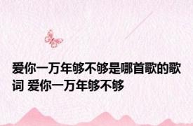 爱你一万年够不够是哪首歌的歌词 爱你一万年够不够 