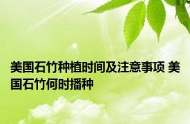 美国石竹种植时间及注意事项 美国石竹何时播种