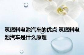 氢燃料电池汽车的优点 氢燃料电池汽车是什么原理