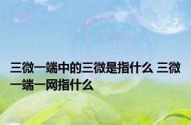 三微一端中的三微是指什么 三微一端一网指什么