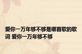 爱你一万年够不够是哪首歌的歌词 爱你一万年够不够 