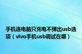 手机连电脑只充电不弹出usb选项（vivo手机usb调试在哪）