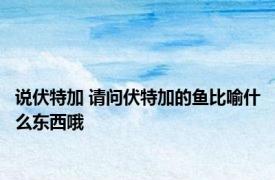 说伏特加 请问伏特加的鱼比喻什么东西哦