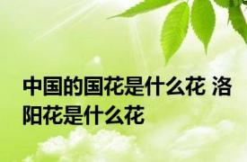 中国的国花是什么花 洛阳花是什么花