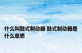 什么叫鼓式制动器 鼓式制动器是什么意思