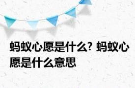 蚂蚁心愿是什么? 蚂蚁心愿是什么意思