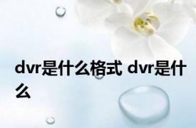 dvr是什么格式 dvr是什么
