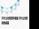 汗什么功劳四字词语 汗什么功劳动物成语