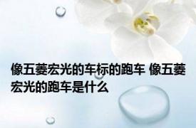 像五菱宏光的车标的跑车 像五菱宏光的跑车是什么
