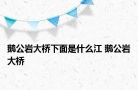 鹅公岩大桥下面是什么江 鹅公岩大桥 