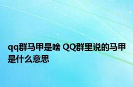 qq群马甲是啥 QQ群里说的马甲是什么意思