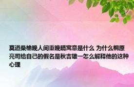 莫道桑榆晚人间重晚晴寓意是什么 为什么桐原亮司给自己的假名是秋吉雄一怎么解释他的这种心理