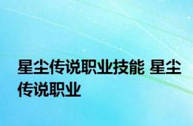 星尘传说职业技能 星尘传说职业 