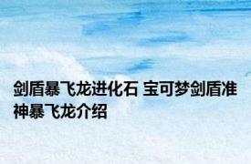 剑盾暴飞龙进化石 宝可梦剑盾准神暴飞龙介绍