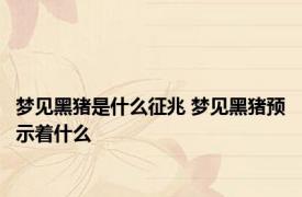 梦见黑猪是什么征兆 梦见黑猪预示着什么