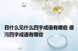 目什么见什么四字成语有哪些 很污四字成语有哪些