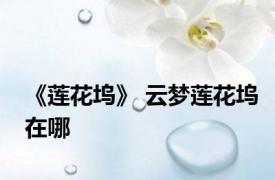 《莲花坞》 云梦莲花坞在哪