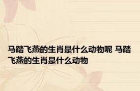 马踏飞燕的生肖是什么动物呢 马踏飞燕的生肖是什么动物