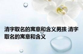 清字取名的寓意和含义男孩 清字取名的寓意和含义