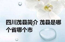 四川茂县简介 茂县是哪个省哪个市
