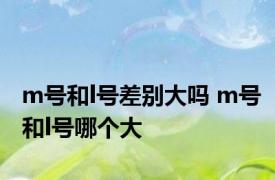 m号和l号差别大吗 m号和l号哪个大