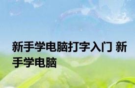 新手学电脑打字入门 新手学电脑 