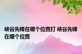 峡谷先锋在哪个位置打 峡谷先锋在哪个位置