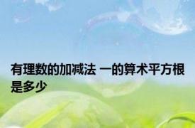 有理数的加减法 一的算术平方根是多少