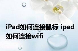 iPad如何连接鼠标 ipad如何连接wifi