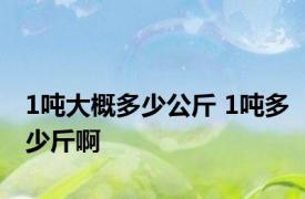 1吨大概多少公斤 1吨多少斤啊