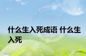 什么生入死成语 什么生入死