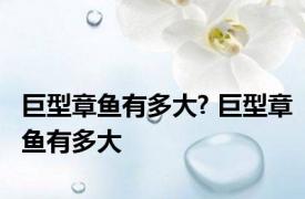 巨型章鱼有多大? 巨型章鱼有多大
