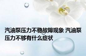 汽油泵压力不稳故障现象 汽油泵压力不够有什么症状