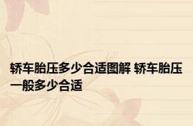 轿车胎压多少合适图解 轿车胎压一般多少合适